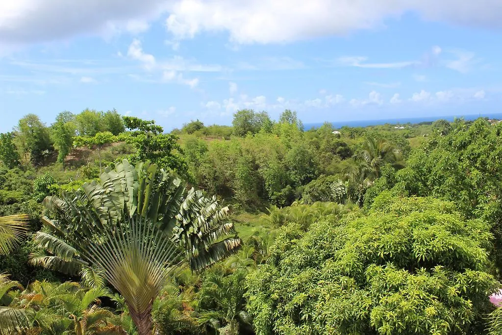 Coco Land Apartment Sainte-Anne   Sainte-Anne (Grande-Terre)